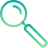 Inspection Icon